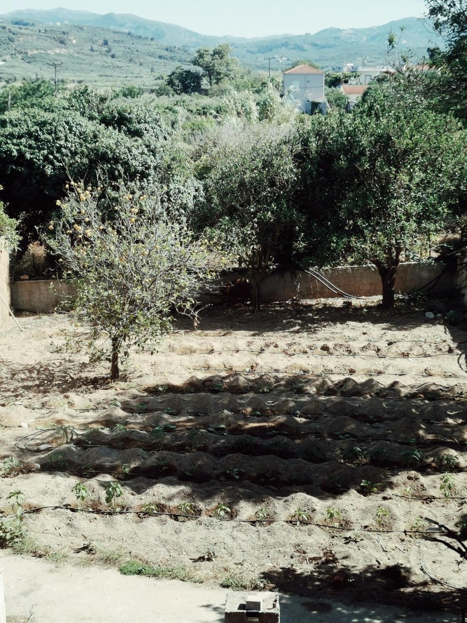 Villa Elea Spiliá Esterno foto