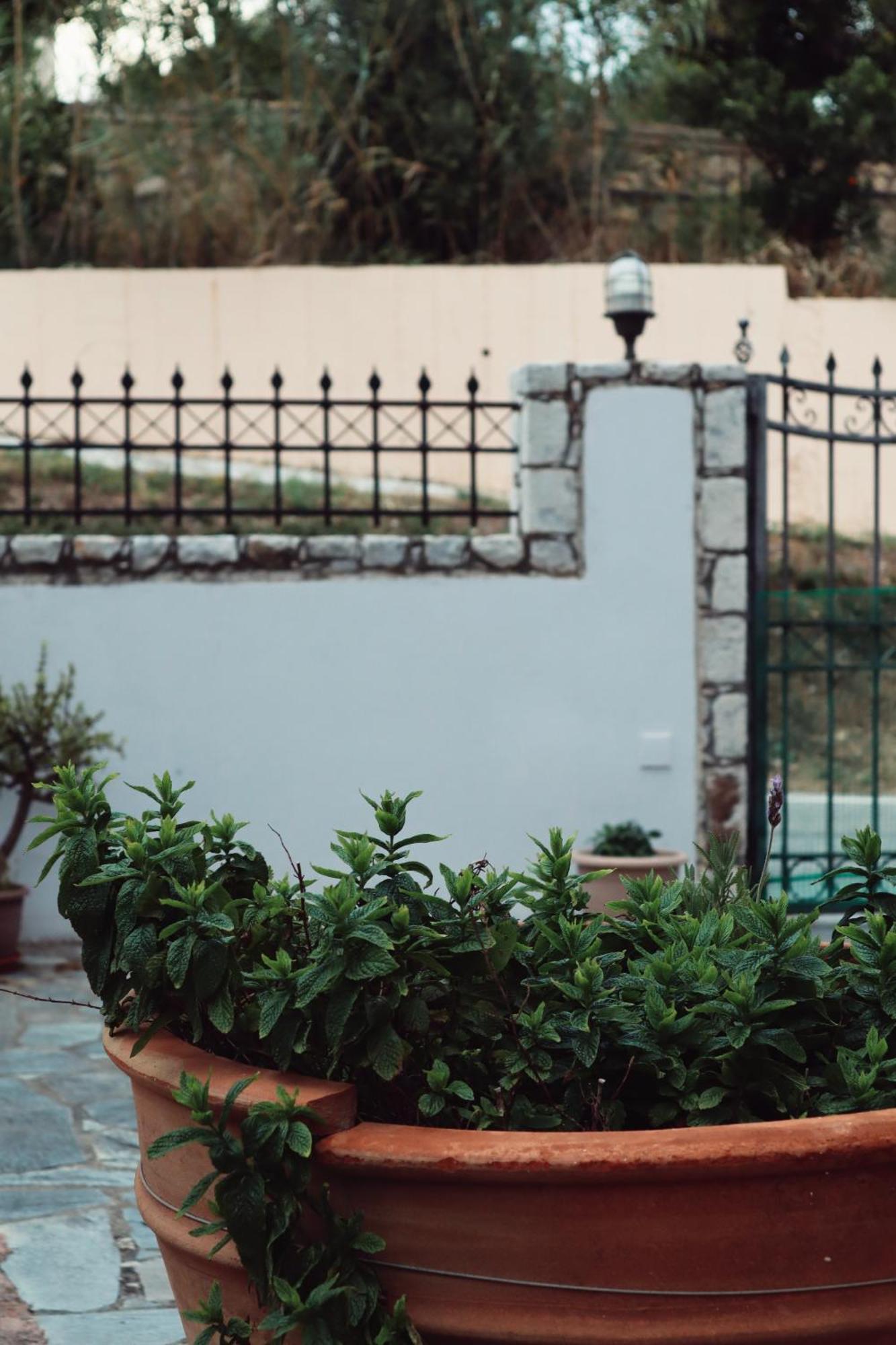 Villa Elea Spiliá Esterno foto