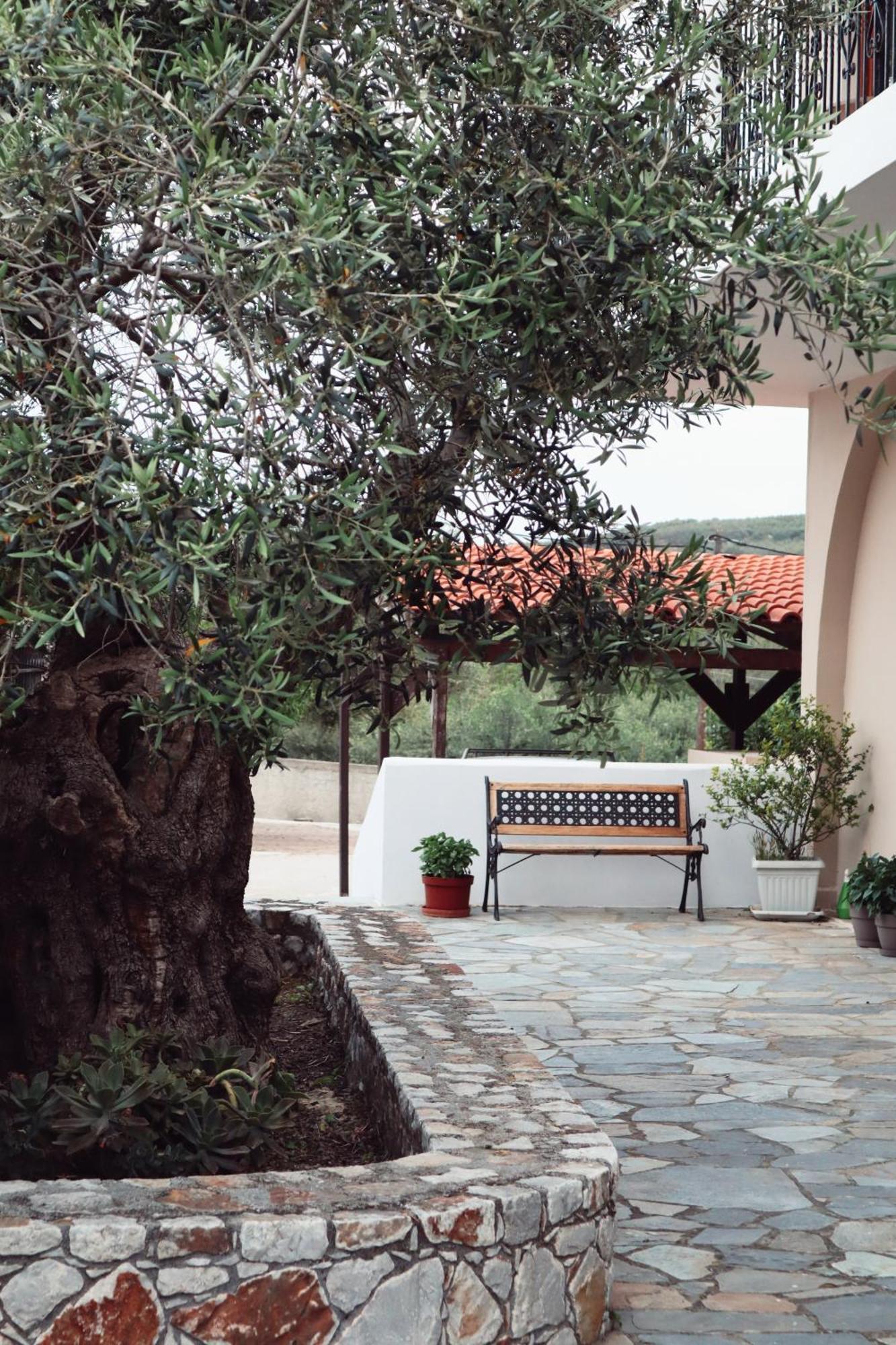 Villa Elea Spiliá Esterno foto